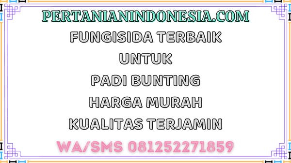 Fungisida Terbaik Untuk Padi Bunting Harga Murah Kualitas Terjamin